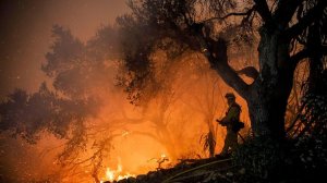 A firefighter battles the Thomas Fire in the Shepard Mesa neighborhood of Carpinteria on Dec. 10, 2017. (Credit: Marcus Yam / Los Angeles Times)