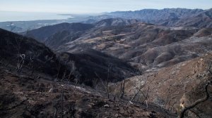 The Thomas Fire is 86 percent contained, authorities said on Christmas Day. (Credit: Claire Hannah Collins / Los Angeles Times)