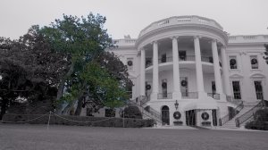 The south facade of the White House will undergo a dramatic change this week: the historic Jackson Magnolia, a tree that has been in place since the 1800s, is scheduled to be cut down and removed. (Credit: Jeremy Moorhead/CNN)