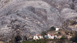 Ashen hillsides that were burned in burned in the Thomas Fire in Carpinteria take on a nearly winter-like appearance on Dec. 20, 2017. (Credit: David McNew/Getty Images)