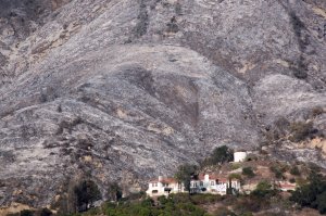 Ashen hillsides that were burned in the Thomas Fire take on a nearly winter-like appearance on Dec. 20, 2017, near Carpinteria. (Credit: David McNew/Getty Images)