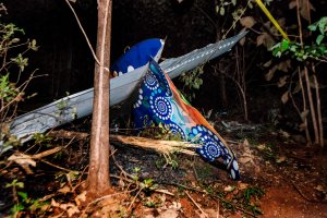 The tail of the burned fuselage of a small plane that crashed is seen in Guanacaste, Corozalito, Costa Rica on December 31, 2017. (Credit: EZEQUIEL BECERRA/AFP/Getty Images)