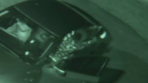 Surveillance video shows a man opening fire in a Compton liquor store parking lot on Jan. 20, 2018.