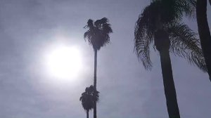 "We're about halfway through the rain season, so we've only got February and March, and they better be a miracle," said climatologist Bill Patzert. "If they're not, we just backflipped into the drought again." (Credit: KTLA)