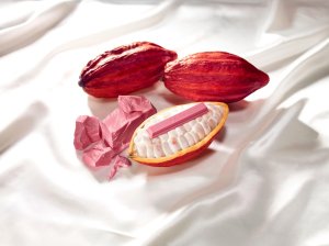 KitKat fans are about to get their first taste of ruby chocolate. (Credit: Barry Callebaut)