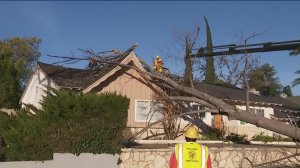 Crews respond to a home in Porter Ranch on Jan. 28, 2018 after winds knocked down a tree. (Credit: KTLA)