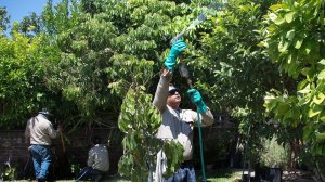 Crews work in a backyard in San Gabriel in 2015. (Credit: Gina Ferazzi / Los Angeles Times)