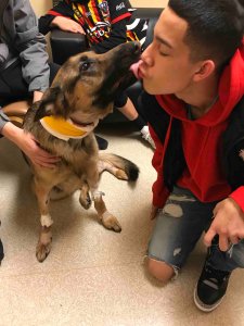 Rex and Javier are seen in a photo posted to a GoFundMe page.