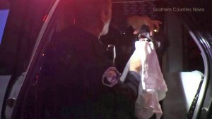 A police dog named Puskas is examined after the animal apprehended a man who led authorities on a pursuit from Santa Ana to Irvine on Feb. 26, 2018. (Credit: KTLA)