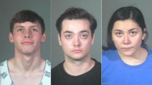 Police identified the suspects as Tyler Walters, 20, of Torrance (left); Lynn Johnson, 20, of Hawthorne (middle); and Gabriella Semana, 18, of Lomita (right). The trio are seen in booking photos released by police.
