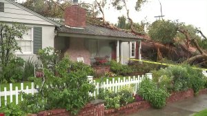 A large tree fell on a home in Sherman Oaks amid stormy weather on March 22, 2018. (Credit: KTLA)