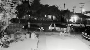 Four people are seen walking past two dogs in front of a South L.A. home on March 9, 2018. One of the people later stopped and fatally shot one of the dogs. (Credit: LAPD)