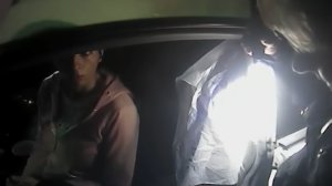 A still from a video released by the Mountain View Police Department on April 13, 2018 shows officers' interaction with the YouTube shooter Nasim Aghdam earlier in the month.