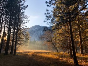 The Yosemite National Park posted this image of the Ahwahnee Meadow on Feb. 25, 2017.