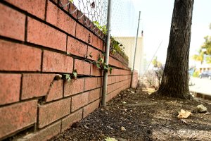 Cracking is seen in a wall that lies along the Hayward fault in the East Bay, considered by the U.S. Geological Survey to be more dangerous than the infamous San Andreas Fault. (Credit: Wally Skalij / Los Angeles Times)