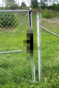 SpcaLA released a graphic photo showing the burned animal's remains.