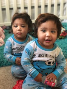 The twins, Maya and Makayla, are seen in a photo posted to a GoFundMe account.