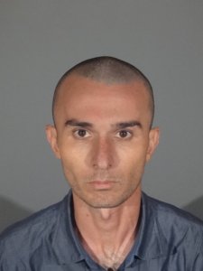 Robert Art Abalov is seen in a booking photo released May 30, 2018, by the Santa Monica Police Department.