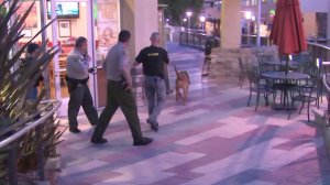 Bloodhounds and investigators comb the Promenade on the Peninsula mall in Rolling Hills estates for clues after a woman was found dead in the parking garage on May 3, 2018. (Credit: KTLA)