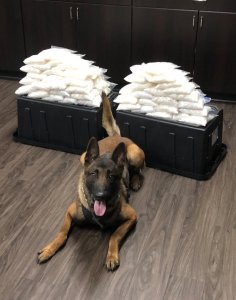 Rye, a K9 cop at the West Covina Police Department, is shown in a photo released by the police department on May 20, 2018. 