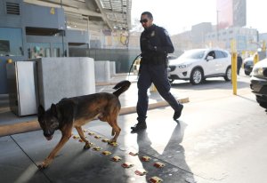 A Customs and Border Protection officer with canine walks to inspect vehicles entering the United States at the San Ysidro port of entry on April 9, 2018 in San Ysidro, California. (Credit: Mario Tama/Getty Images)