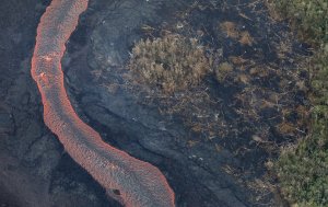 Lava from a Kilauea volcano fissure flows past trees downed by lava towards the Pacific Ocean, on Hawaii's Big Island, on May 21, 2018. (Credit: Mario Tama / Getty Images)