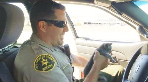 L.A. County sheriff’s Deputy Driscoll holds a kitten that he rescued in Lancaster on June 28, 2018. (Courtesy: Los Angeles County Sheriff’s Department)