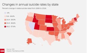 A chart depicting changes in annual suicide rates by state is seen in this image. (Credit: CNN)