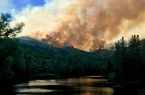 The Carr Fire burns in Shasta County in a photo tweeted July 25, 2018, by Cal Fire's Shasta-Trinity Unit.