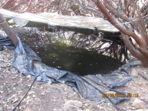 The National Park Service released this image on Sept. 7, 2018 of water found at the Sequoia National Park.