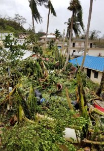 This photo taken on October 25, 2018 shows a resident (C) clearing up in Saipan after Super Typhoon Yutu caused widespread destruction across the islands of Saipan and Tinian.(Credit: Jon Perez/AFP/Getty Images)