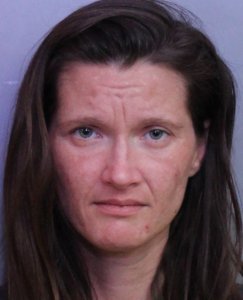 Rachel Fidanian is seen in a booking photo released by the Polk County Sheriff's Office. 