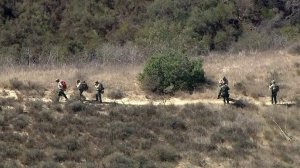 Sky5 aerial footage shows authorities search an area of Malibu Creek State Park on Oct. 17, 2018, after the arrest of a man suspected in burglaries in the area. (Credit: KTLA)