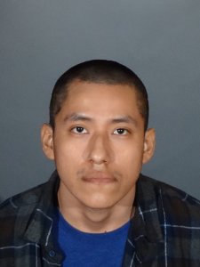 Andres Pascual, 22, is seen in a photo released Nov. 27, 2018, by the Los Angeles Police Department.