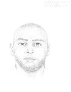 Santa Ana police officials on Nov. 28, 2018 released this composite sketch of a man who allegedly sexually assaulted a girl at a park. 