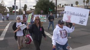 Demonstrators took to the streets to demand new leadership at the San Bernardino Animal Shelter on Nov. 30, 2018.
