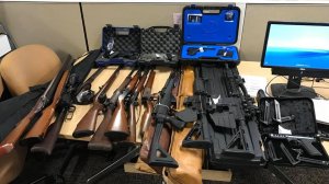 Deputies rescued a dozen emaciated dogs and seized 22 firearms from a home near Neenach on Nov. 29, 2018. (Credit: Los Angeles County Sheriff's Department)