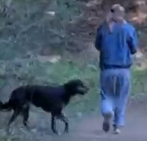 The woman pictured in this photo is being sought on suspicion of biting another woman during a dispute over an aggressive dog at Anthony Chabot Regional Park in Castro Valley on Jan. 3, 2019. (Credit: East Bay Regional Park District Police Department)