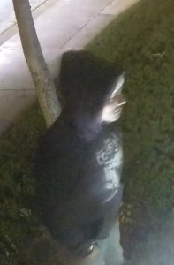 Authorities are asking for help identifying a man seen near the vandalized fountain on Dec. 31, 2018. (Credit: Santa Clarita Valley Sheriff's Station)