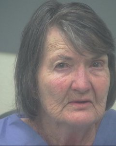 Ramona Lund is seen in a booking photo released by the Santa Rosa County Sheriff's Office.