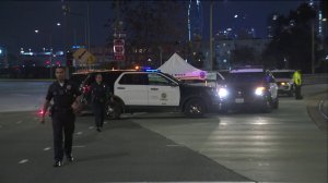 Police investigate the scene of a hit-and-run in which a man was struck and killed by a bus at Adams Boulevard and Flower Street in the University Park neighborhood of Los Angeles on Jan. 10, 2019.
