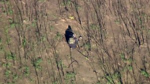 Authorities investigate human remains found in Malibu on Jan. 22, 2019. (Credit: KTLA)