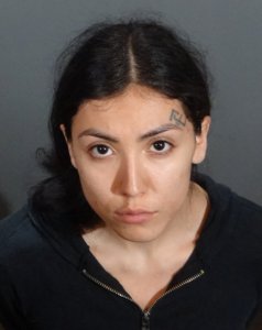 Leila Gonzalez is seen in a photo released by Redondo Beach police. 