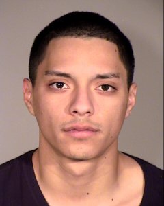 Travis Lee Trent, 20, of Thousand Oaks, pictured in a photo released by the Ventura County Sheriff's Office following his arrest on Jan. 10, 2019.