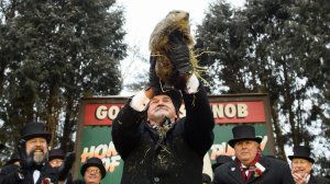 Punxsutawney Phil did not see his shadow predicting an early spring during the 133rd annual Groundhog Day festivities on February 2, 2019 in Punxsutawney, Pennsylvania. (Credit: Jeff Swensen/Getty Images)