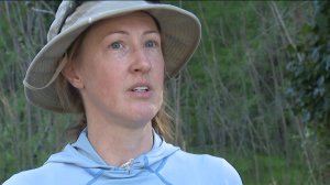 Johanna Turner with Arroyos & Foothills Conservancy speaks to KTLA. (Credit: KTLA)