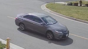 Detectives are seeking this gray, 2015-2017, grey, four-door Toyota Camry with damage to its passenger-side headlight in connection with a hit-and-run that left a grandmother dead and her two grandchildren injured in the 14800 block of Escalona Road on Feb. 20, 2019. (Credit: Los Angeles County Sheriff's Department)