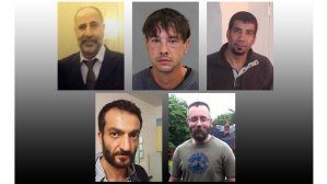 Pictured are five of Bruce McArthur's eight victims (clockwise from top left): Majeed Kayhan, 58; Dean Lisowick, 47; Soroush Marmudi, 50; Selim Esen, 44 and Andrew Kinsman, 49. (Credit: Toronto Police Service via CNN)