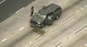 A vehicle is damaged after a tree fell on an onramp of the 405 Freeway in Sherman Oaks on Feb. 21, 2019. (Credit: KTLA)