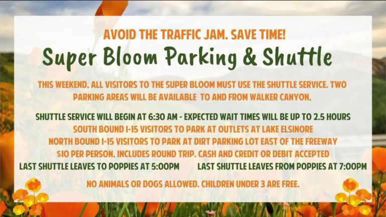 This graphic shows new procedures for visitors heading to Lake Elsinore to view the super bloom.
